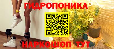 стафф Лесосибирск