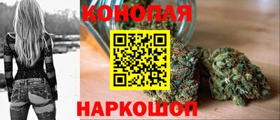 стафф Лесосибирск
